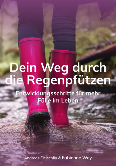 Buchcover «Dein Weg durch die Regenpfützen»